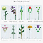 Panlos 655001 Blumenstrauß