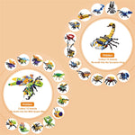 Insekt Adventskalender 2023